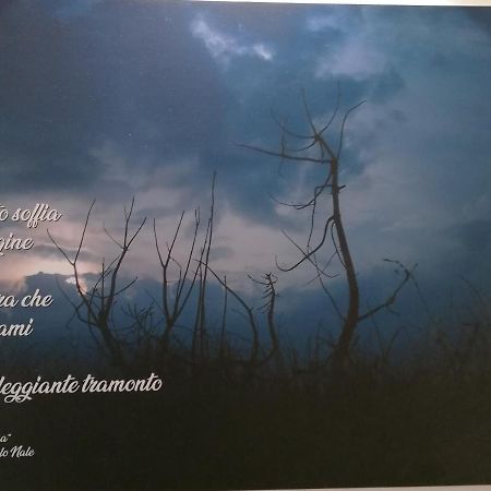 Verdepoesia Chioggia Dış mekan fotoğraf